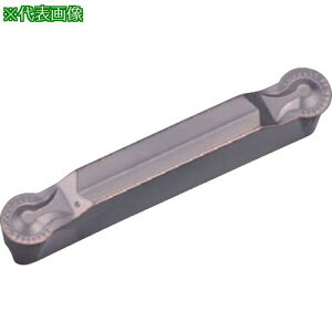 �����Z�� �[�ʍa������H�p�`�b�v GDF PR1225�s10���t�k�i��:GDFM6020N300RCM�l�y8205642×10:0�z[�����ʓr���ς�][�f�O���][�X�����s��]