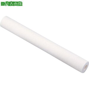 ��AS �J�[�g���b�W�t�B���^�[PPS-20-5�k�i��:1900810�l�y8210606:0�z[�����ʓr���ς�][�f�O���][�X�����s��]