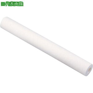 ��AS �J�[�g���b�W�t�B���^�[PPS-20-10�k�i��:1900811�l�y8210607:0�z[�����ʓr���ς�][�f�O���][�X�����s��]