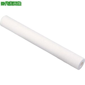 ��AS �J�[�g���b�W�t�B���^�[PPS-20-50�k�i��:1900813�l�y8210609:0�z[�����ʓr���ς�][�f�O���][�X�����s��]