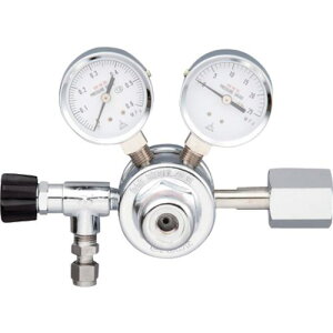 ��AS ���͒�����GF2-2506-RS2-VN�k�i��:2517012�l�y8211953:0�z[�����ʓr���ς�][�f�O���][�X�����s��]