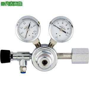 ��AS ���͒�����GF1-2506-RQ-VN�k�i��:2517112�l�y8211957:0�z[�����ʓr���ς�][�f�O���][�X�����s��]