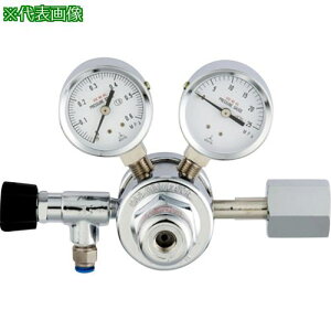 ��AS ���͒�����GF2-2506-RQ-VN�k�i��:2517212�l�y8211961:0�z[�����ʓr���ς�][�f�O���][�X�����s��]