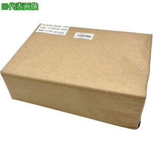 AS |0.1mm205×300ܕSki:663109ly8216585:0z[ʓrς][fO][Xs]