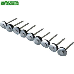 DAIDOHANT XeXAPBp[XN[ 12×50 fn 9{×30Aki:00028151ly8218426:0z[Xs]