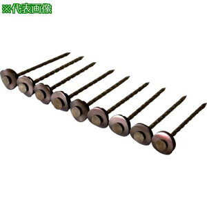 DAIDOHANT XeXAPBp[XN[ 12×50 uY 9{×30Aki:00028156ly8218431:0z[Xs]