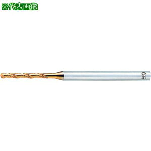 ��OSG EX�S�[���h�h���� ��ʉ��H�p�~�f�B�A���` 8607555�k�i��:EXGDN5.55�l�y8222919:0�z[�����ʓr���ς�][�f�O���][�X�����s��]