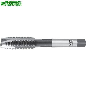 ��OSG �|�C���g�^�b�v ��ʗp 16894�k�i��:EXPOTOH1NO.164UNC�l�y8224658:0�z[�����ʓr���ς�][�f�O���][�X�����s��]