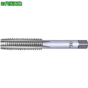 ��OSG �n���h�^�b�v �C���T�[�g�˂��p 9800�k�i��:HLHT21BM24X3�l�y8227646:0�z[�����ʓr���ς�][�f�O���][�X�����s��]