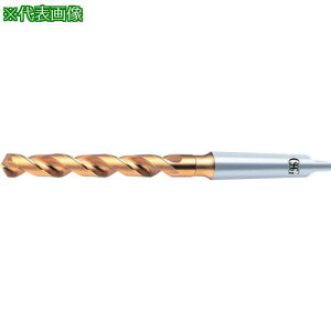 ��OSG EX�S�[���h�h���� �X�e�����X�E��|�pMT�V�����N 65360�k�i��:MTSUSGDR36�l�y8237300:0�z[�����ʓr���ς�][�f�O���][�X�����s��]