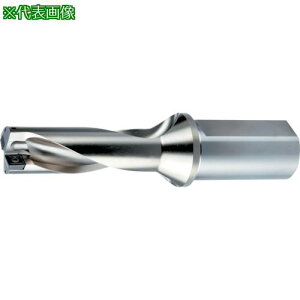 ��OSG PHOENIX�V���[�Y PHP 7800131�k�i��:PHP310FS32M103D�l�y8238181:0�z[�����ʓr���ς�][�f�O���][�X�����s��]