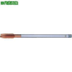 OSG |Cg^bv TiNR[eBOOVN 78823ki:TINLTPOTOH3M8X1.25X100ly8240162:0z[ʓrς][fO][Xs]