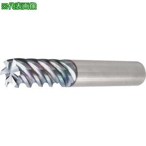 �����Z�� ���\�� ������E�d�グ���H�p�G���h�~�� 6/8PFK �~�f�B�A���k�i��:6PFK120300�l�y8250218:0�z[�����ʓr���ς�][�f�O���][�X�����s��]