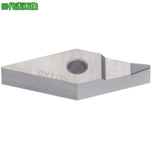 ���^���K���C ������H�p�C���T�[�g PCD DX120�k�i��:VNMM160402DIA�l�y8254037:0�z[�����ʓr���ς�][�f�O���][�X�����s��]