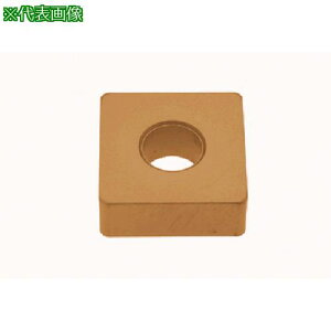 ���^���K���C ������H�p�C���T�[�g �Z���~�b�N LX21�s10���t�k�i��:SNGA120412�l�y8254076×10:0�z[�����ʓr���ς�][�f�O���][�X�����s��]