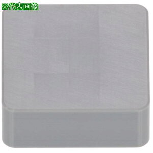 ���^���K���C ������H�p�C���T�[�g �Z���~�b�N LX21�s10���t�k�i��:SNGN090308�l�y8254077×10:0�z[�����ʓr���ς�][�f�O���][�X�����s��]