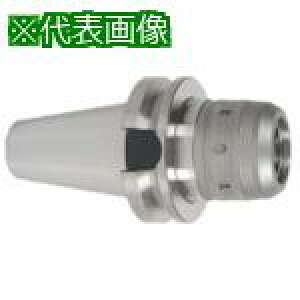���^���K���C �^���O�}�b�N�X �G���h�~���z���_�k�i��:BT50MAXIN32X106�l�y8255395:0�z[�����ʓr���ς�][�f�O���][�X�����s��]