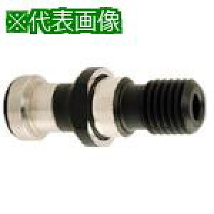 ���^���K���C ���̑��c�[�����O�@��k�i��:PSBT3045M12MAS1B�l�y8255754:0�z[�����ʓr���ς�][�f�O���][�X�����s��]