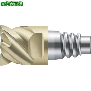 ��Prototyp Protomax �G���h�~���k�i��:H4E34217E1212�l�y8260008:0�z[�����ʓr���ς�][�f�O���][�X�����s��]