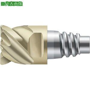 ��Prototyp Protomax �G���h�~���k�i��:H4E38217E20201�l�y8260029:0�z[�����ʓr���ς�][�f�O���][�X�����s��]