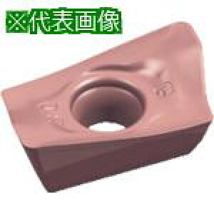 ��Walter �~�[�����O���H�p �Ђ��`�|�W�`�b�v WXN15�s10���t�k�i��:ADHT10T3PERG88�l�y8261469×10:0�z[�����ʓr���ς�][�f�O���][�X�����s��]