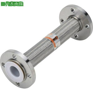 ��NFK ���w��i�^���N�p(���h�]��i)�t���L�V�u���z�[�X �t�����W10K/SUS304(�ډt��PTFE) 20A×800L�k�i��:NKCT210KSUS30420A800L�l�y8278612:0�z[�����ʓr���ς�][�f�O���][�X�����s��]