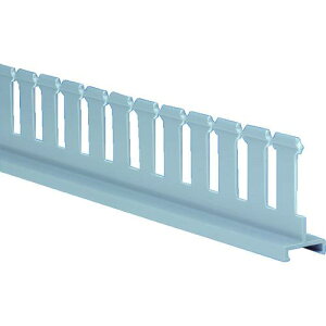 ��PANDUIT �z���_�N�g�p �X���b�g�t���f�B�o�C�_�[�E�H�[�� 19.1×45.4×1830 6FT(�t�B�[�g) 1�{�k�i��:SD2H6�l�y8281656:0�z[�����ʓr���ς�][�@�l�E���Ə�����][�X�����s��]