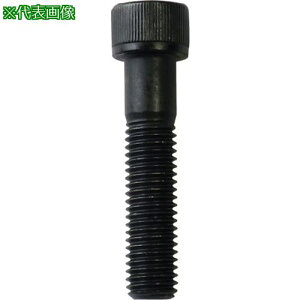 DAIDOHANT HP Zpt{g 5×15 8{s5ܓtki:10184588ly8284184×5:0z[ʓrς][fO][Xs]