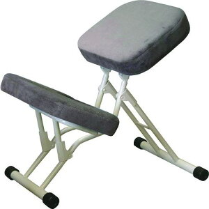 ZCR[ ƃ`FA Zu|[Y`FA zCg/O[ 440×260~670×450~800mmki:SPC14W09ly8356637:0z[Xs]