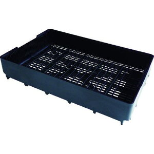 rose VXe{[h t[ ꂠki:SBAly8359236:0z[Xs]