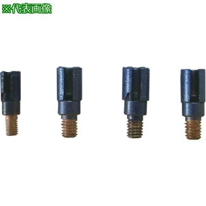 p ܂prbg 6.0 RN[gp (10)ki:7381ly8374009:0z[ʓrς][fO][Xs]