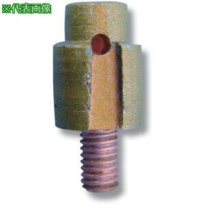 p ܂pxrbg 6.5ki:7407ly8374016:0z[ʓrς][fO][Xs]