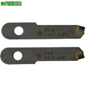 X^[G _Chݐ _C֐nki:36DKly8374775:0z[ʓrς][@lEƏ][O][Xs]