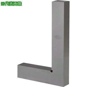 ��RKN ���`�X�R�� 100�k�i��:RAS100�l�y8381118:0�z[�����ʓr���ς�][�f�O���][�X�����s��]