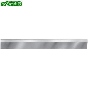 �����j �x�x���^�X�g���[�g�G�b�W A�� 2500mm�k�i��:SEB2500�l�y8381221:0�z[�����ʓr���ς�][�@�l�E���Ə�����][����][�X�����s��]