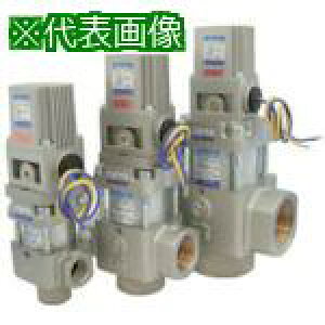 �����{���� 2�����V�����_�o���u 40A DC24V�k�i��:BN5BP2140F24�l�y8387726:0�z[�@�l�E���Ə�����][�O������][�X�����s��]