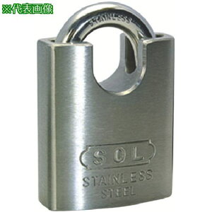 SOL p[tFNgbN 50mmki:8500BP50ly8490165:0z[ʓrς][fO][Xs]