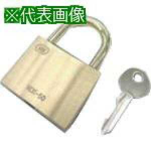 { ^J 싞 Ă25mmki:NDK25ly8490181:0z[ʓrς][fO][Xs]