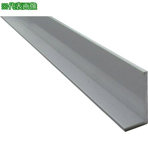 ���A���C���R �A���~�s���ӃA���O�� 10×20×1.5 �V���o�[ 2m�k�i��:HP205S�l�y8495241:0�z[����DS][�X�����s��]