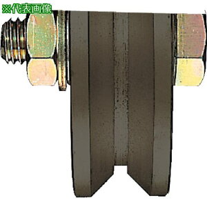 Rdi S45CdʌˎԃCh^CvԂ̂ 250mm Vki:JGPW2505ly8496379:0z[@lEƏ][O][Xs]