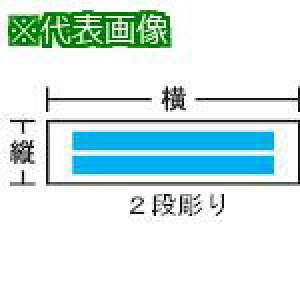 IM AN(ʍ)2i c15×100mm×2tki:N150Bly8503623:0z[ʓrς][fO][Xs]