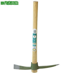 ������ FG �z�[���s�b�N �� �����k�i��:154988�l�y8511091:0�z[�X�����s��]