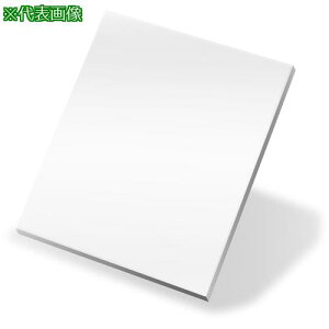 �����P�� ���[�U�[�p�Ռ��t�B���^�[ EX 550x400�k�i��:RLFEX550400�l�y8513512:0�z[�����ʓr���ς�][�f�O���][�X�����s��]