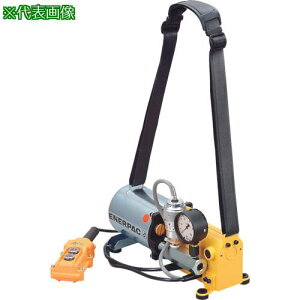 ENERPAC P100V|[^u^d|vki:PE301HWOly8520156:0z[ʓrς][fO][Xs]