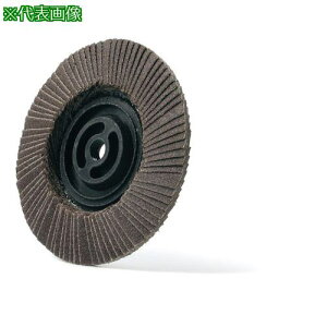 ��MURAKO �f�B�X�N�y�[�p�[ �g�u���b�N�f�B�X�N�h �A�����_�� �O�a100�� M10�� 150#�s10���t�k�i��:BD100M10A150�l�y8524919×10:0�z[�����ʓr���ς�][�X�����s��]