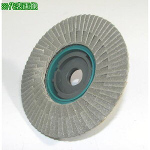 �����i�Z SG �_�C��TOP�f�B�X�N 100x15 ALL #100�k�i��:SGDTOPA6�l�y8525317:0�z[�@�l�E���Ə�����][�O������][�X�����s��]