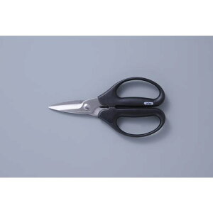 ALLEX n[h͂ H-1ki:15151ly8533682:0z[Xs]