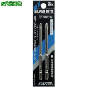 ���T���t���b�O �V���o�[�i�t�r�b�g#2X100mm�k�i��:BCB2100�l�y8535736:0�z[�����ʓr���ς�][�f�O���][�X�����s��]