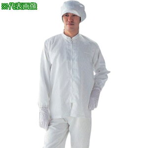 ��AS CR�㒅�E����(�j�����p)SC101-S�k�i��:1702804�l�y8538411:0�z[�����ʓr���ς�][�f�O���][�X�����s��]