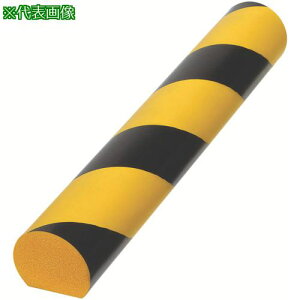 CAR-BOY SNbV ܂ڂ^ g ubN/CG[ki:AC114ly8547765:0z[Xs]